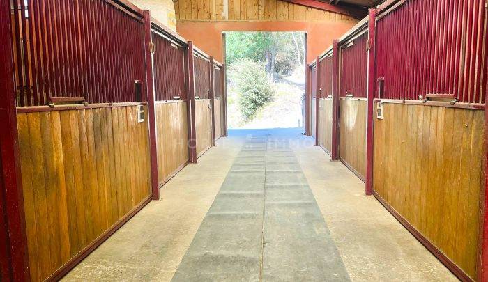 Equestrian property  Var