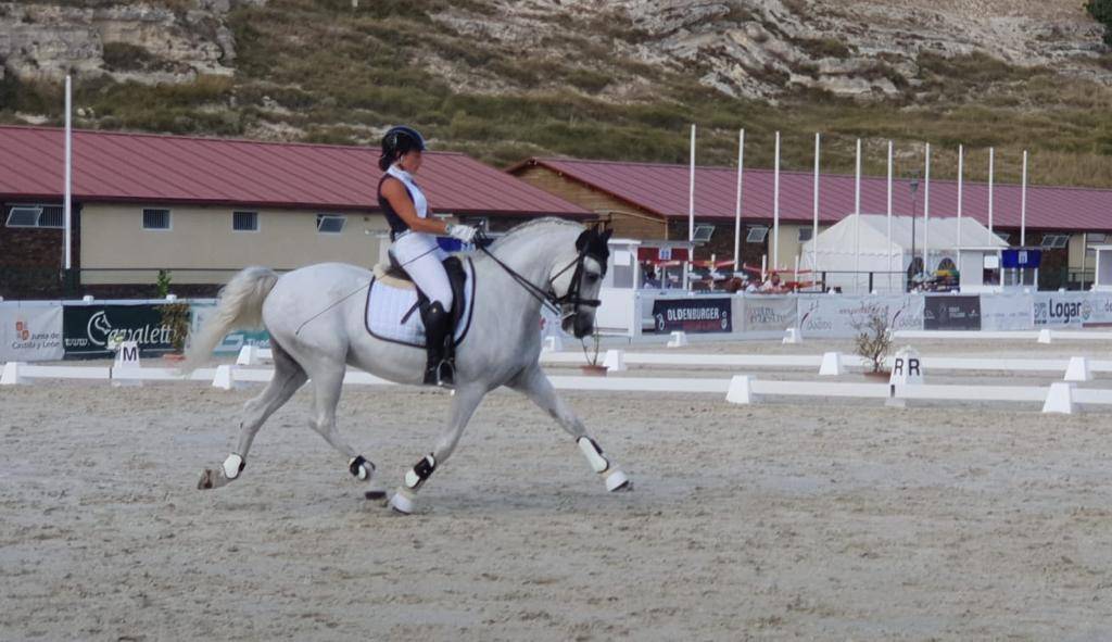 Gelding PRE Pure Spanish Bred For sale 2012 White