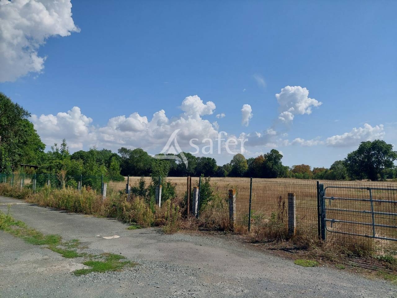 Vegetable farm  Charente-Maritime