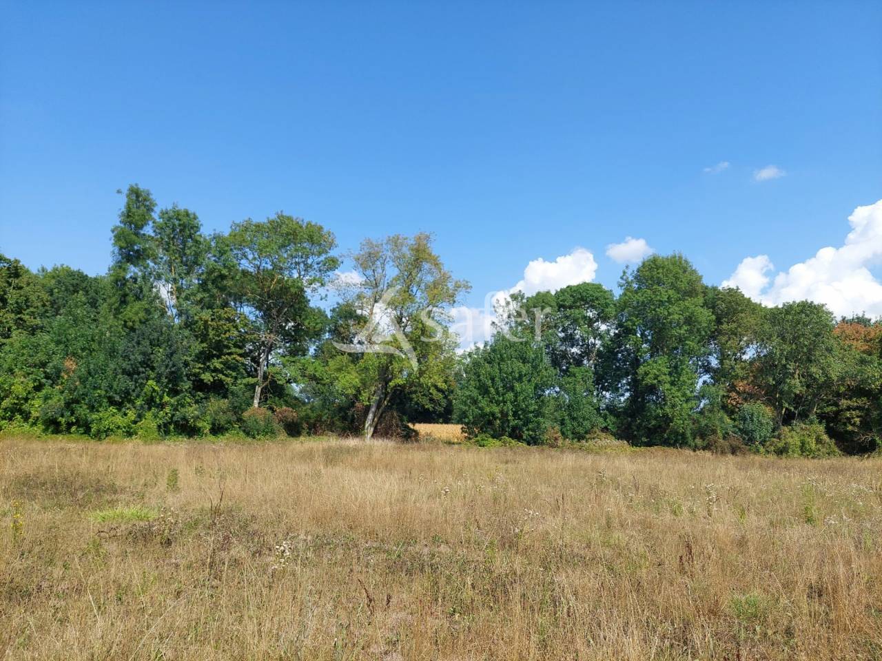 Vegetable farm  Charente-Maritime