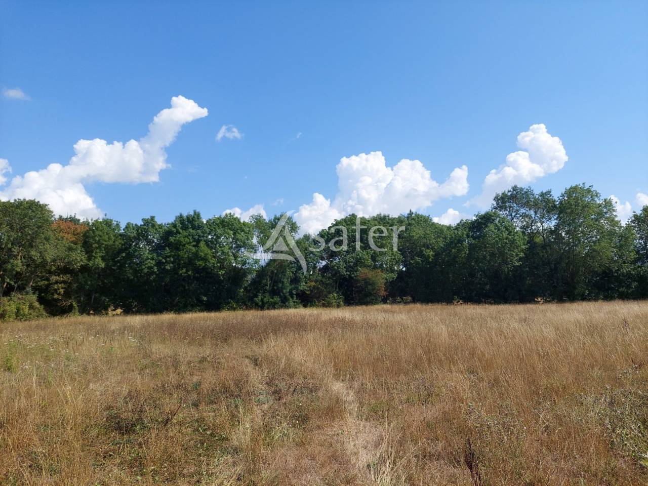 Vegetable farm  Charente-Maritime