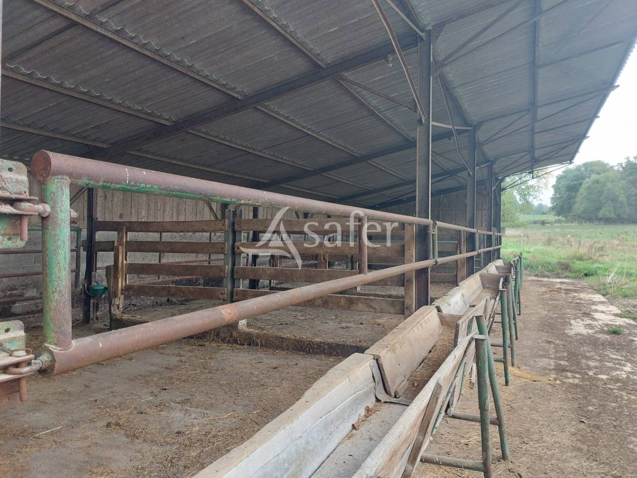 Sheep farm  Dordogne