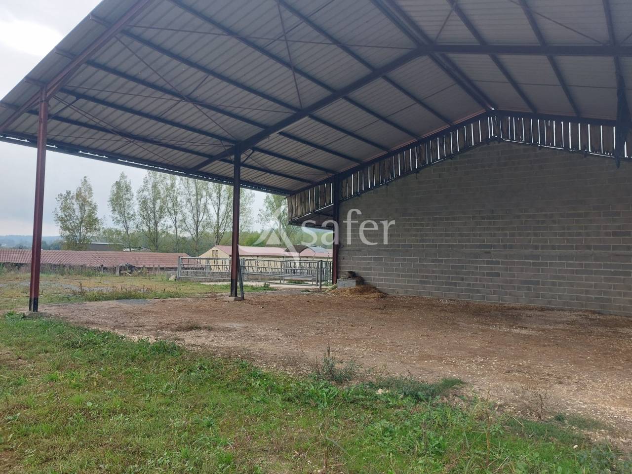 Sheep farm  Dordogne