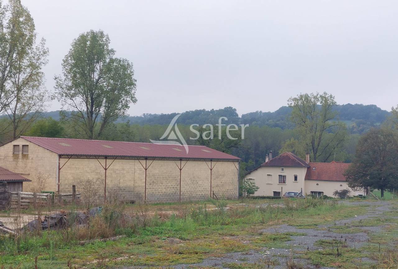Sheep farm  Dordogne