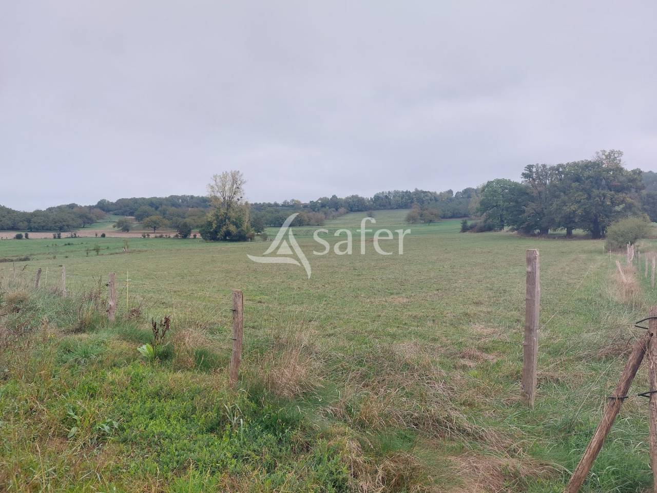 Sheep farm  Dordogne