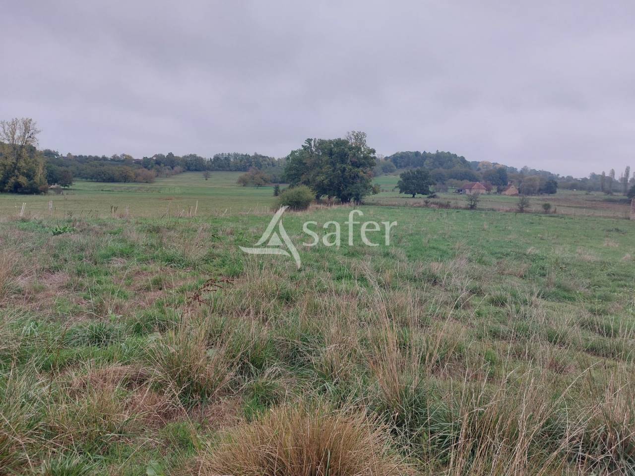 Sheep farm  Dordogne