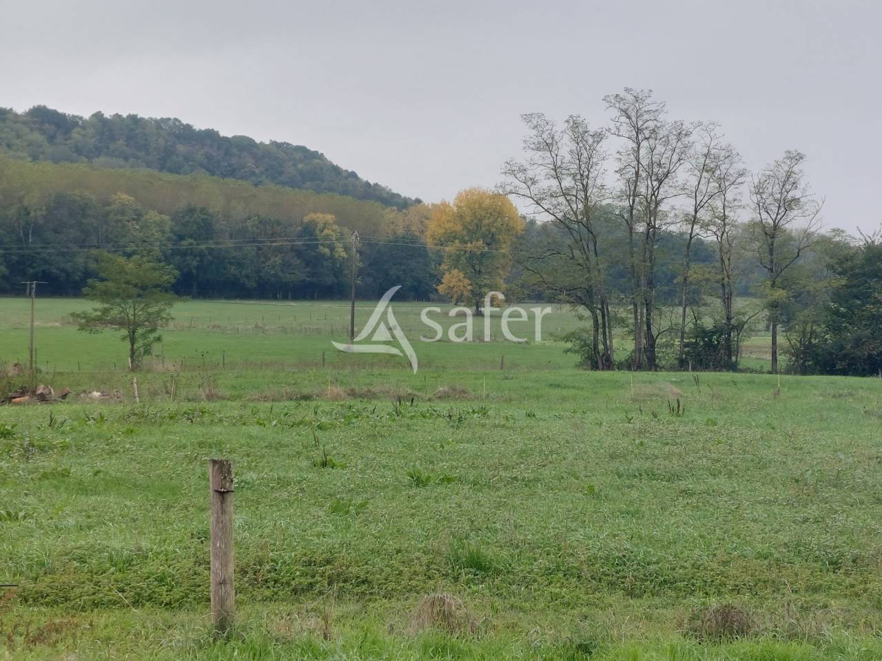 Sheep farm  Dordogne