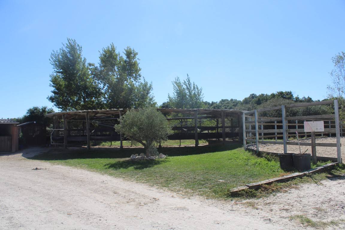 Equestrian property  Haute-Garonne