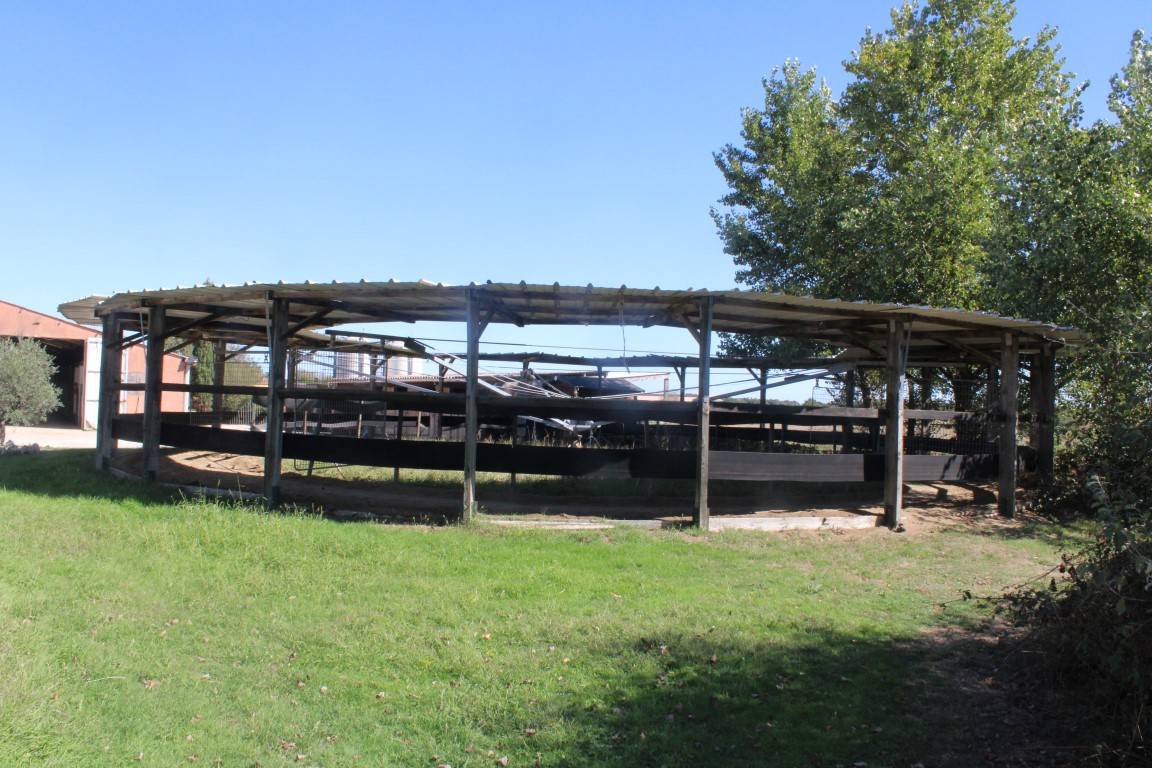 Equestrian property  Haute-Garonne