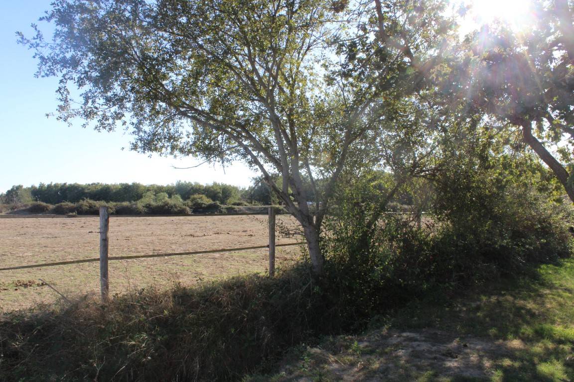 Equestrian property  Haute-Garonne
