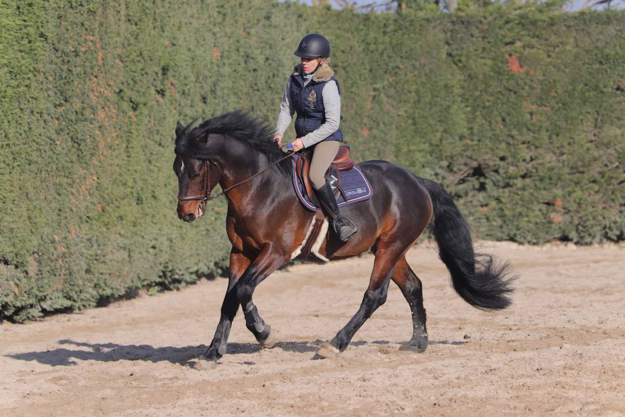 Cleggan's Boy de Coux - Connemara 2012 by Village sparrow