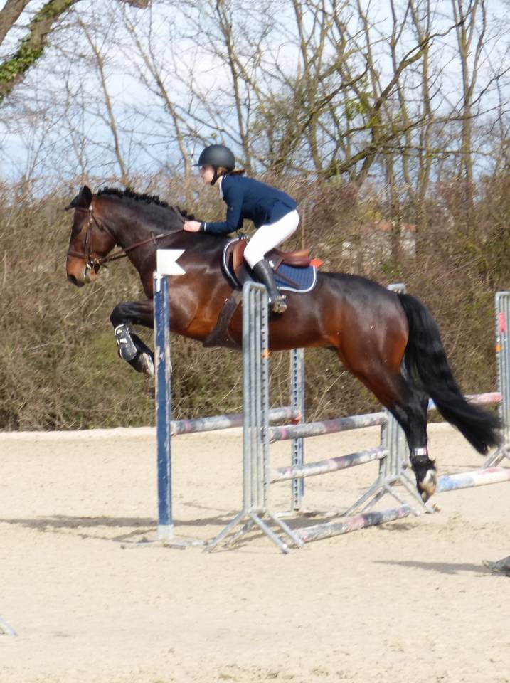 Cleggan's Boy de Coux - Connemara 2012 by Village sparrow