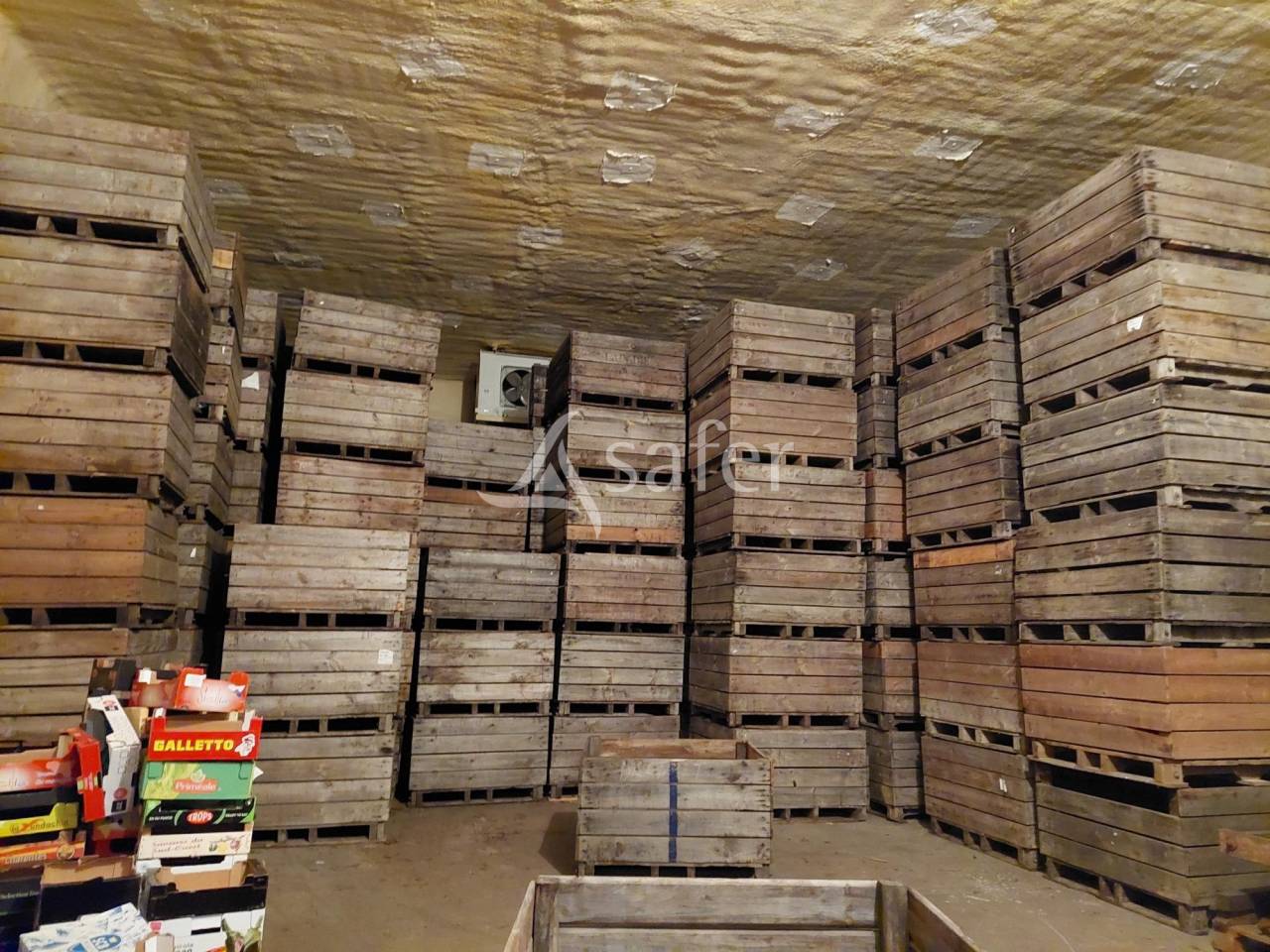 Fruit farm  Dordogne