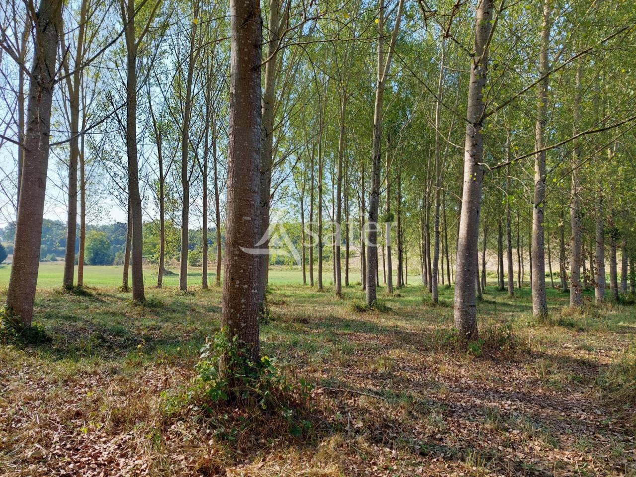 Fruit farm  Dordogne