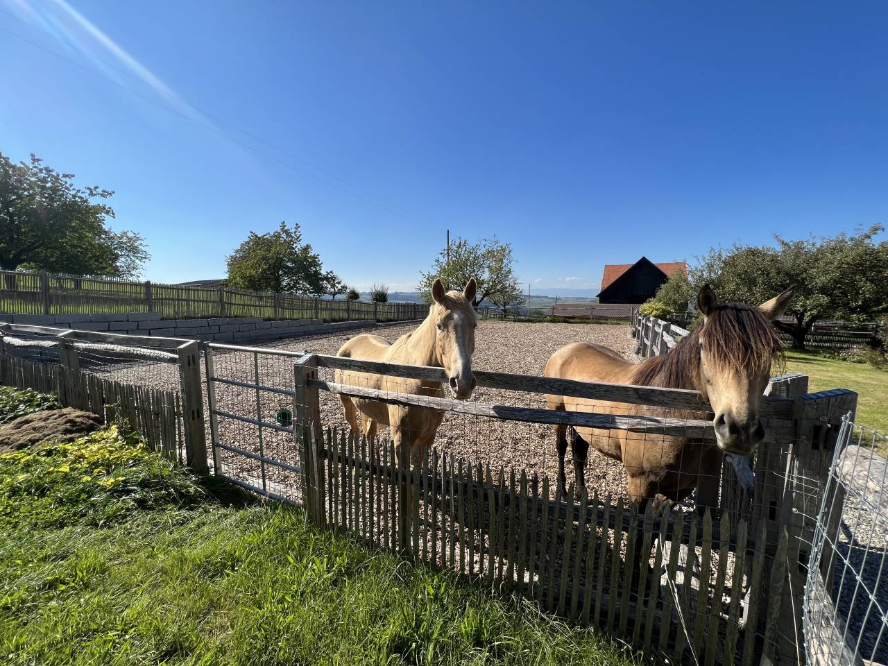Equestrian farm  Vaud