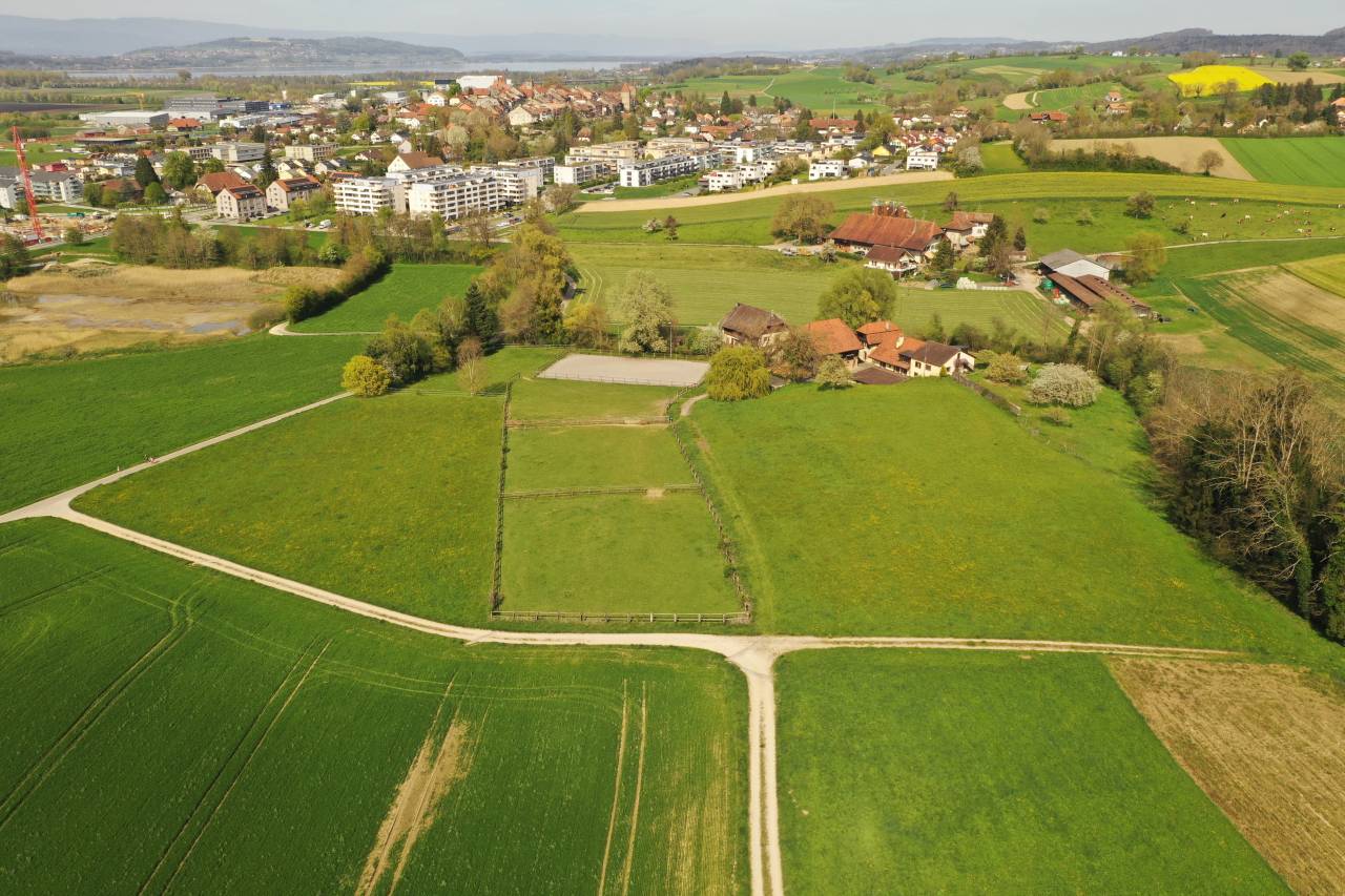 Equestrian farm  Fribourg