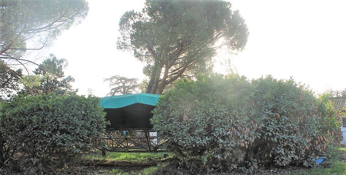 Equestrian property  Tarn-et-Taronne