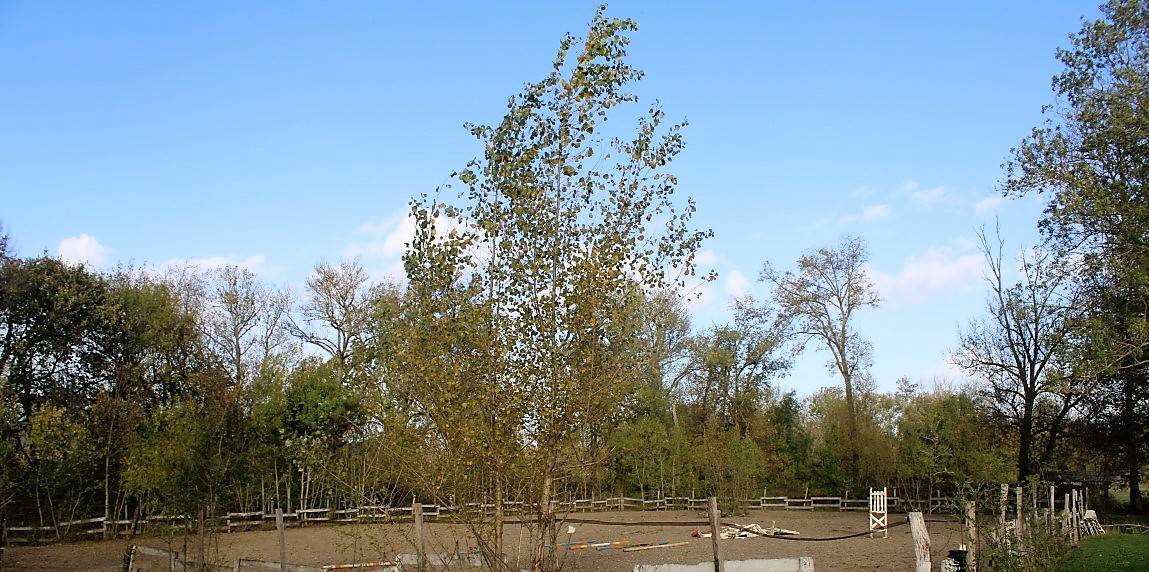 Equestrian property  Tarn-et-Taronne