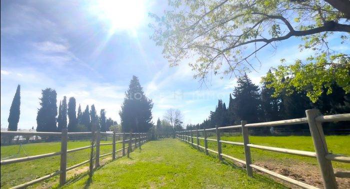 Equestrian property  Vaucluse