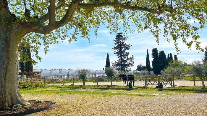 Equestrian property  Vaucluse