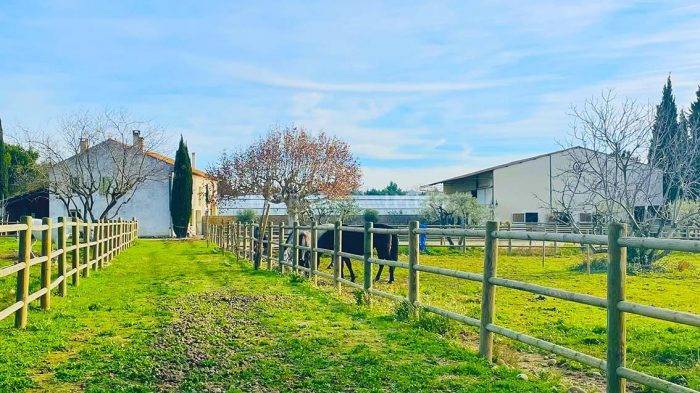 Equestrian property  Vaucluse