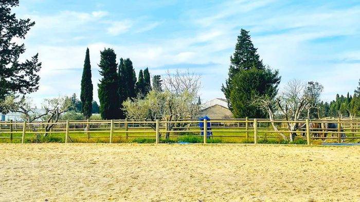 Equestrian property  Vaucluse