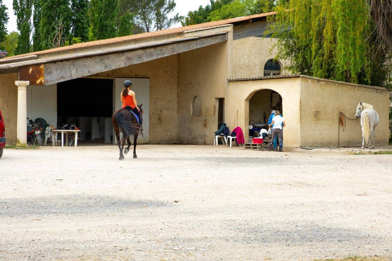 Equestrian property  Vaucluse