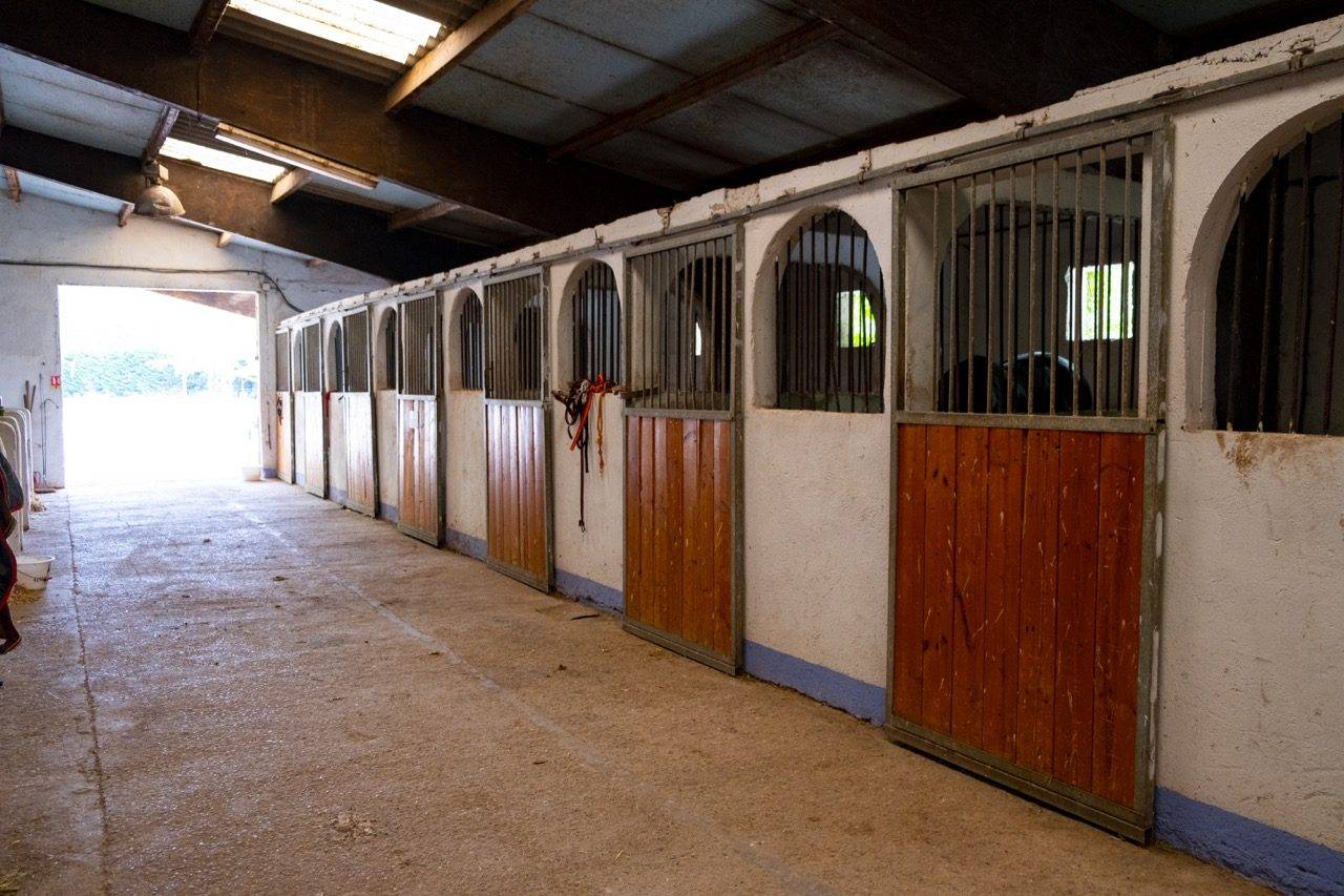 Equestrian property  Vaucluse
