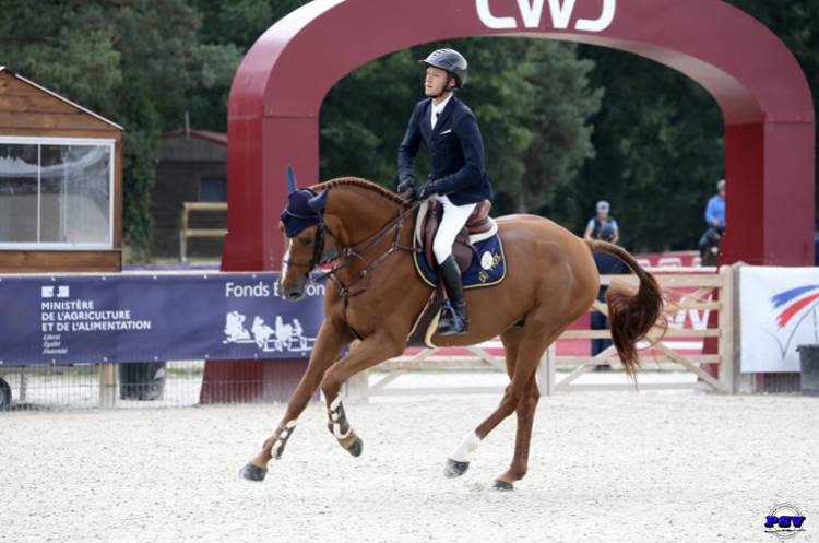 Hollywood du Park  - Selle Fran&ccedil;ais 2018 by DIAMANT DE SEMILLY