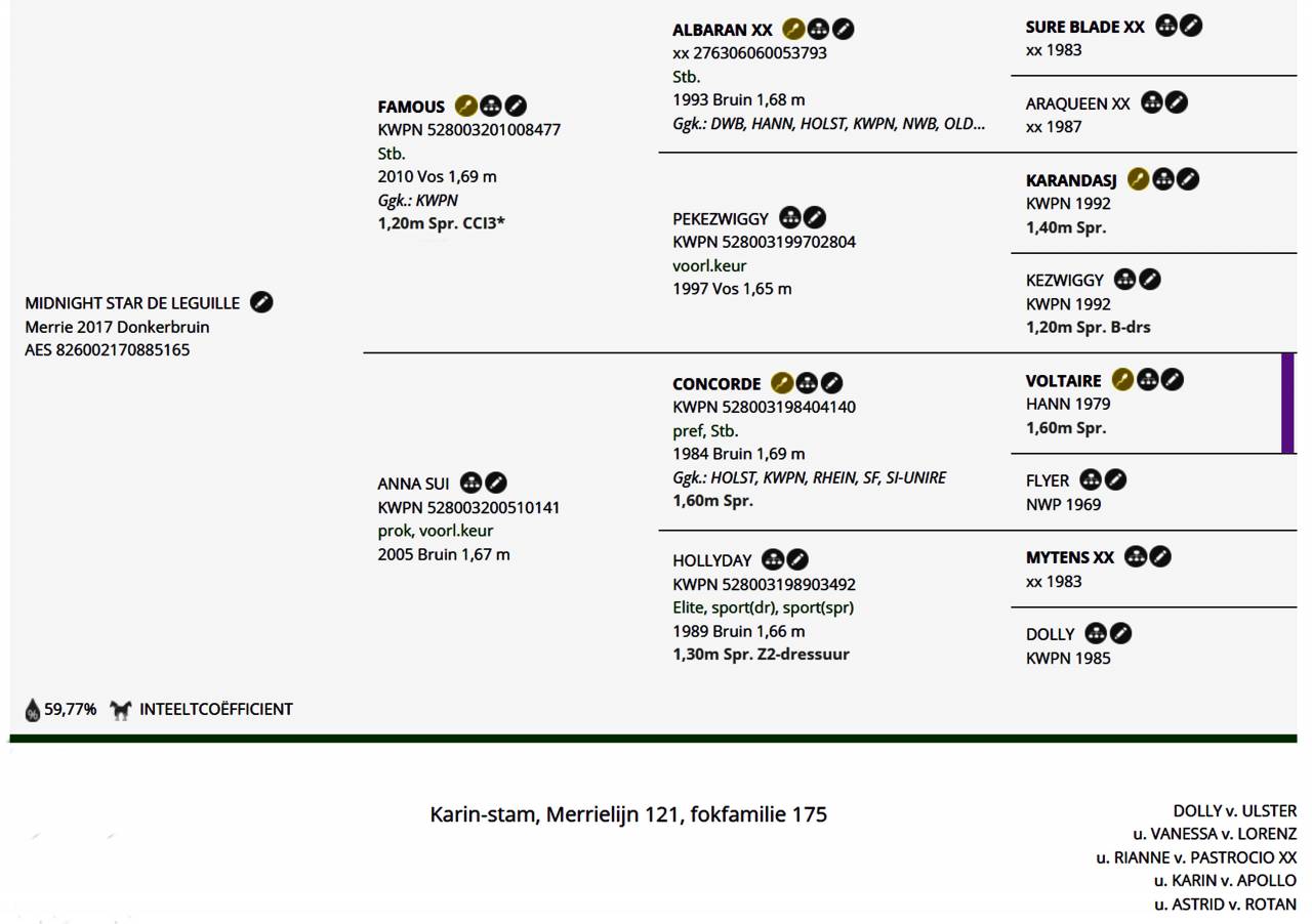 Mare KWPN Dutch Warmblood For sale 2017 Bay
