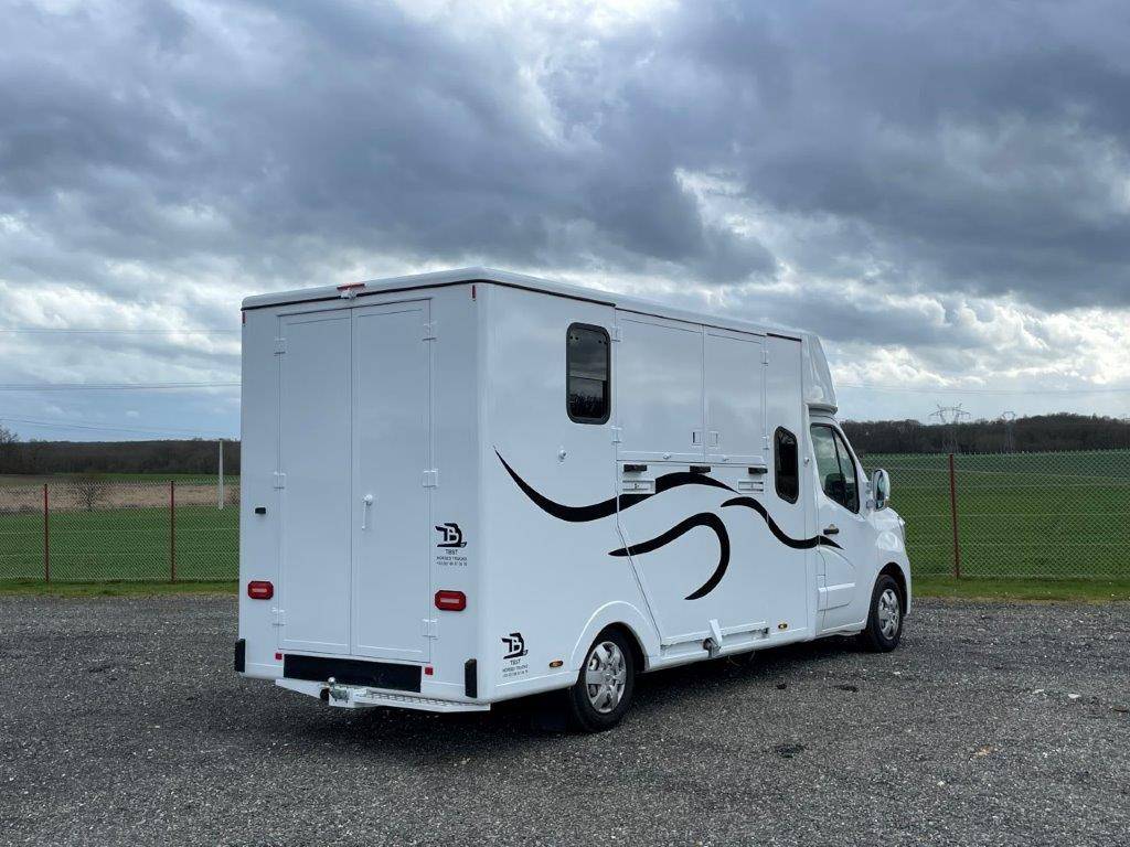 Horsebox HGV Renault Master 2023 New