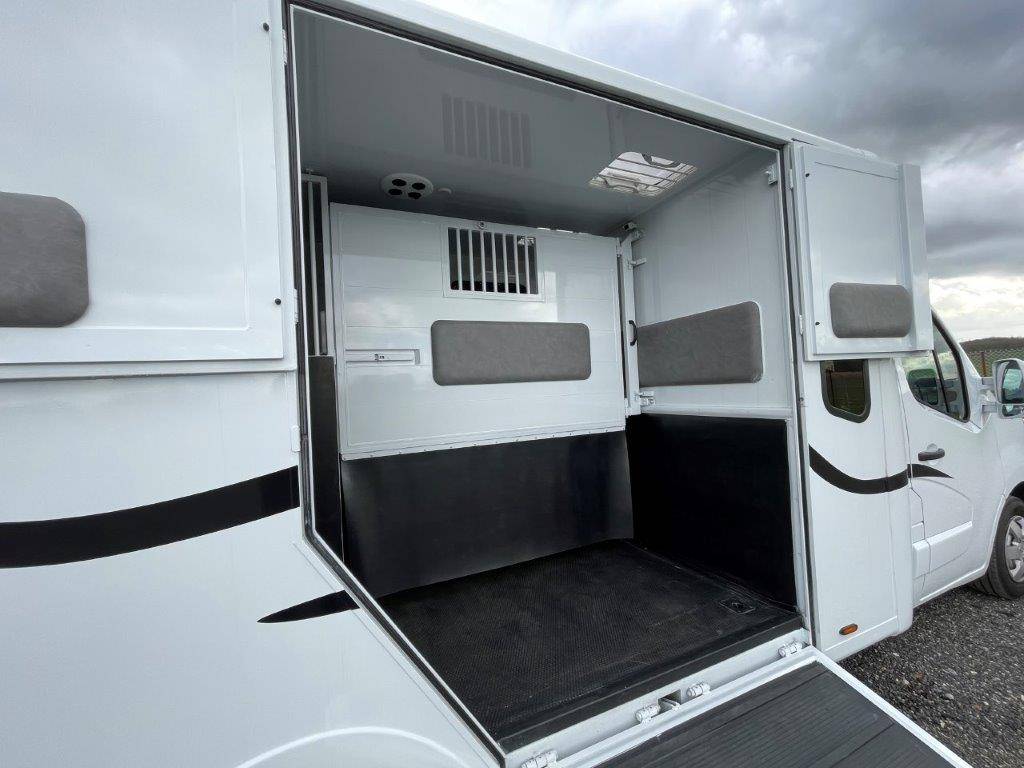 Horsebox HGV Renault Master 2023 New