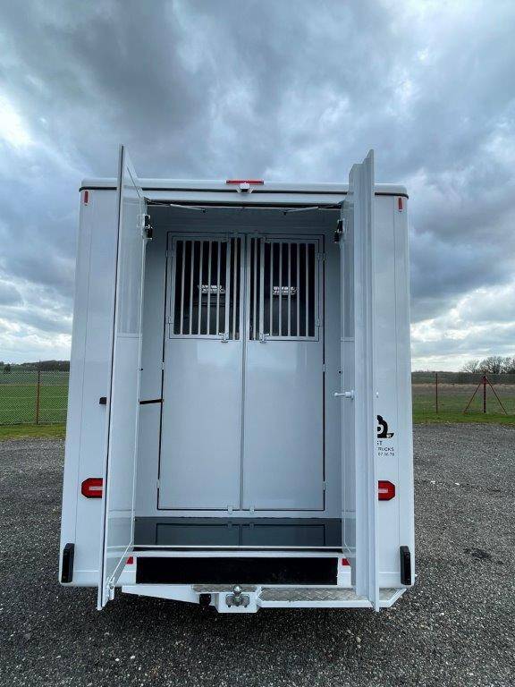 Horsebox HGV Renault Master 2023 New