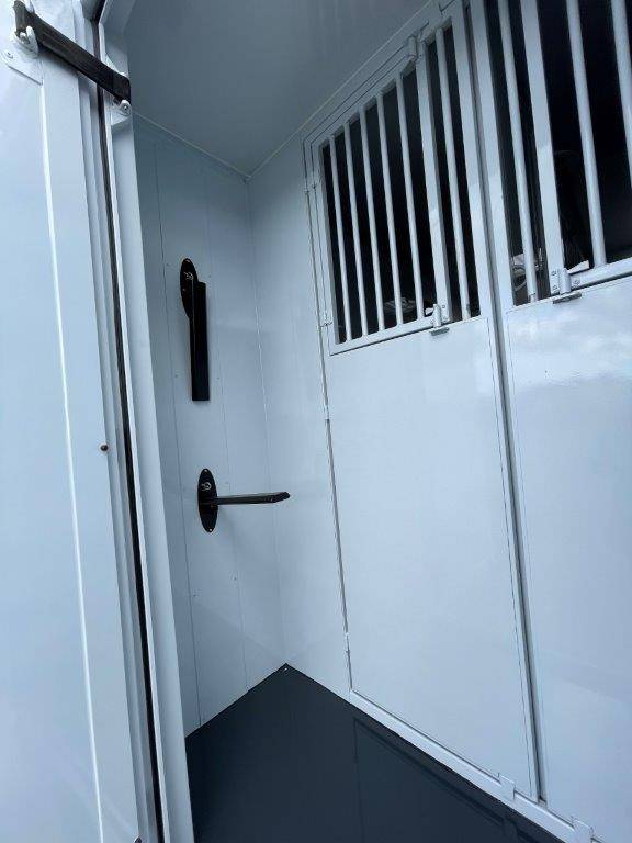 Horsebox HGV Renault Master 2023 New