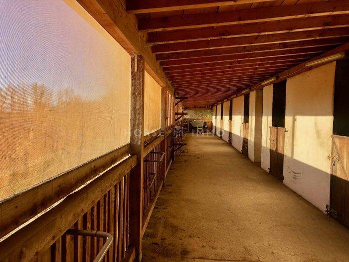 Stud farm  Haute-Savoie