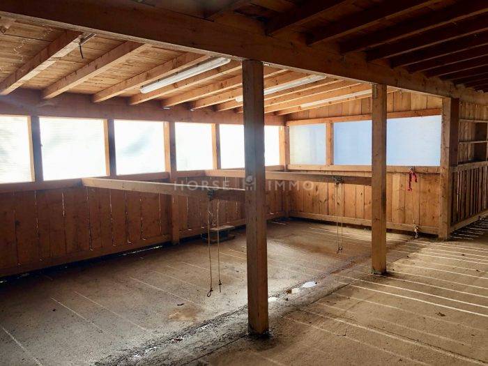 Stud farm  Haute-Savoie