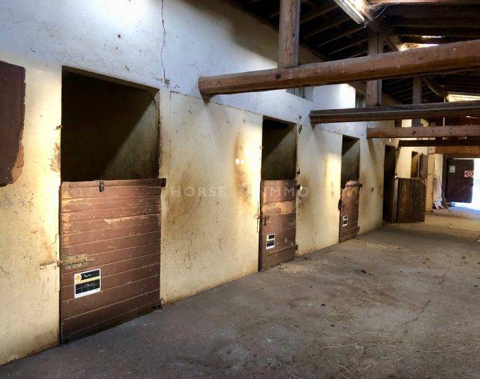 Stud farm  Haute-Savoie