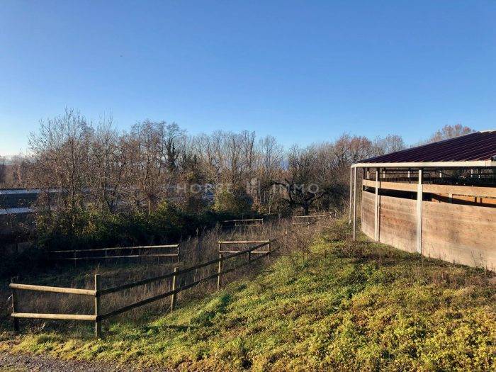 Stud farm  Haute-Savoie