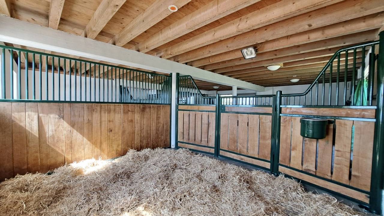 Equestrian farm  Fribourg