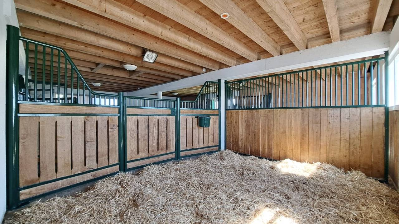 Equestrian farm  Fribourg