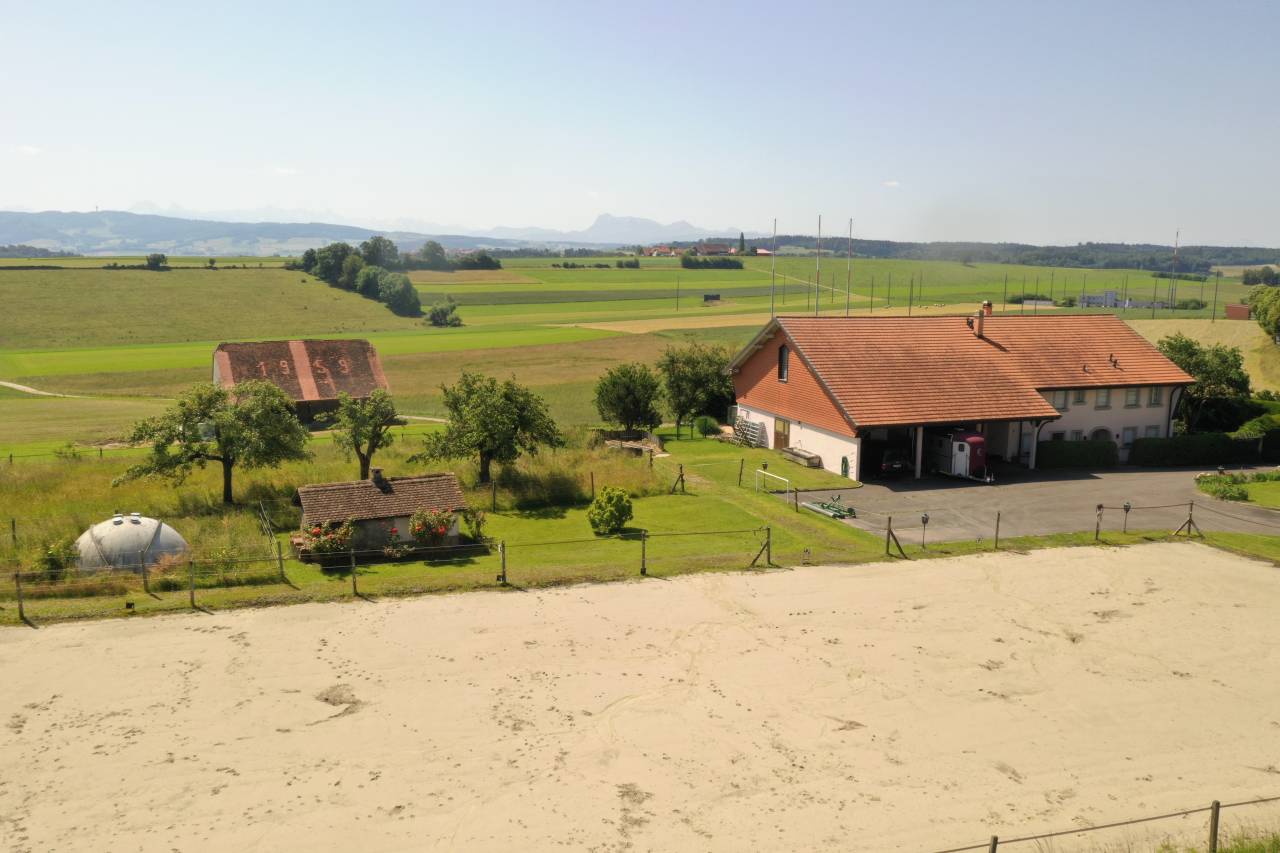 Equestrian farm  Fribourg