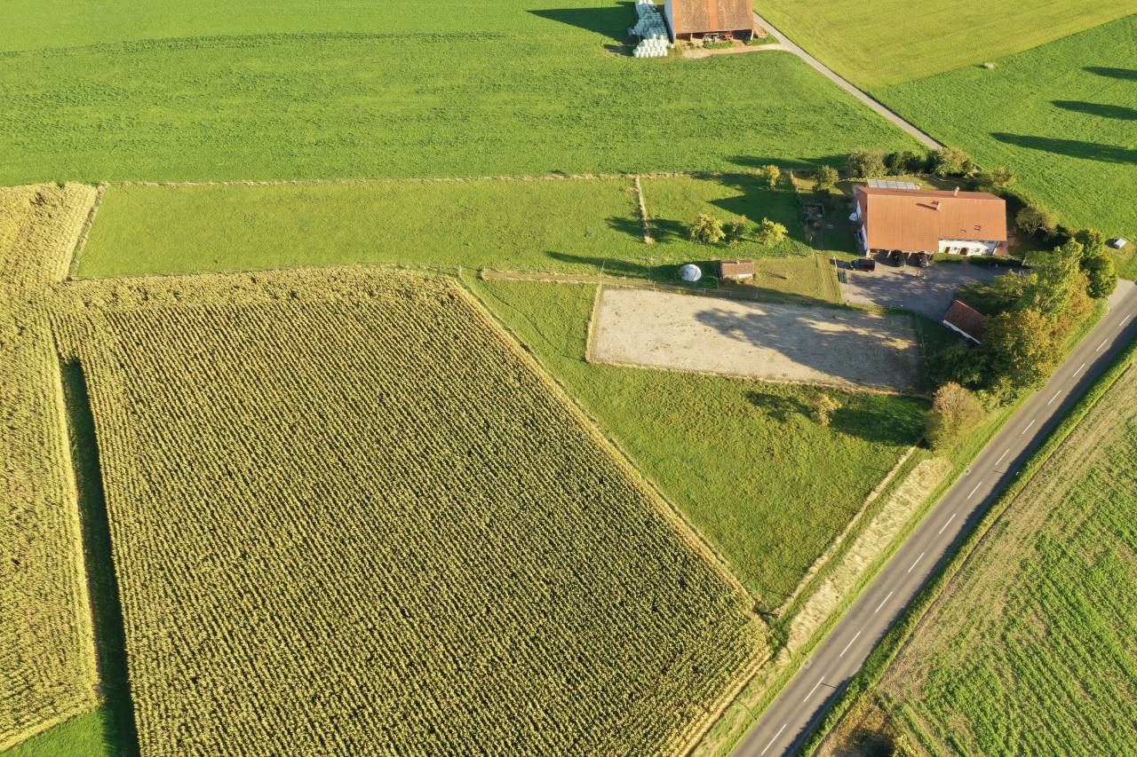 Equestrian farm  Fribourg