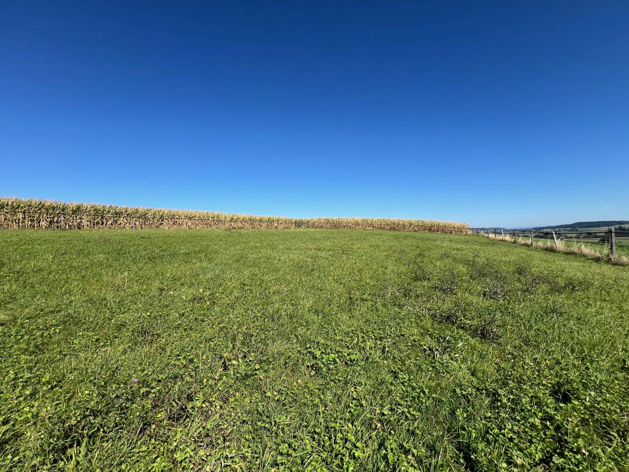 Equestrian farm  Fribourg