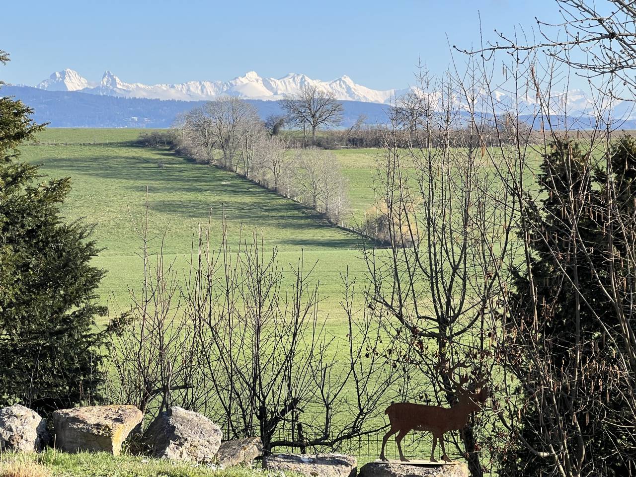 Equestrian farm  Fribourg