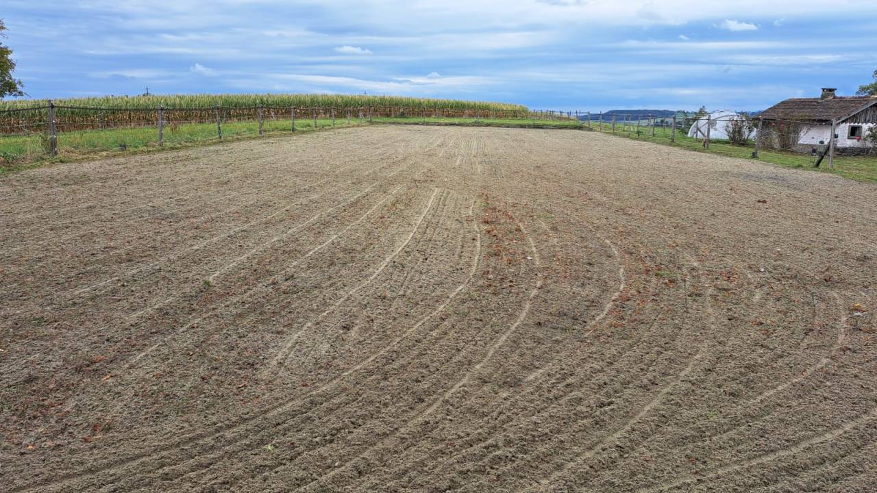 Equestrian farm  Fribourg
