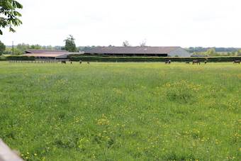 Stud farm  Orne