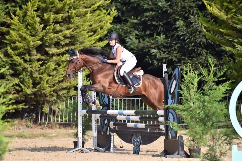 Najisco d'haryns  - French Saddle Pony 2001 by LINARO SL