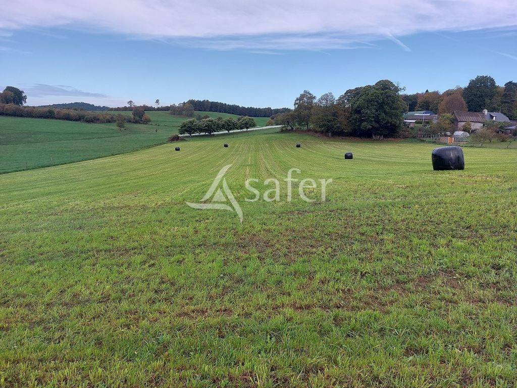 Sheep farm  Corrèze
