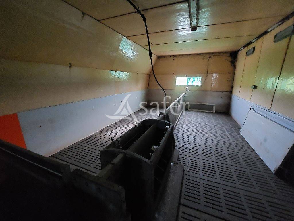 Sheep farm  Corrèze