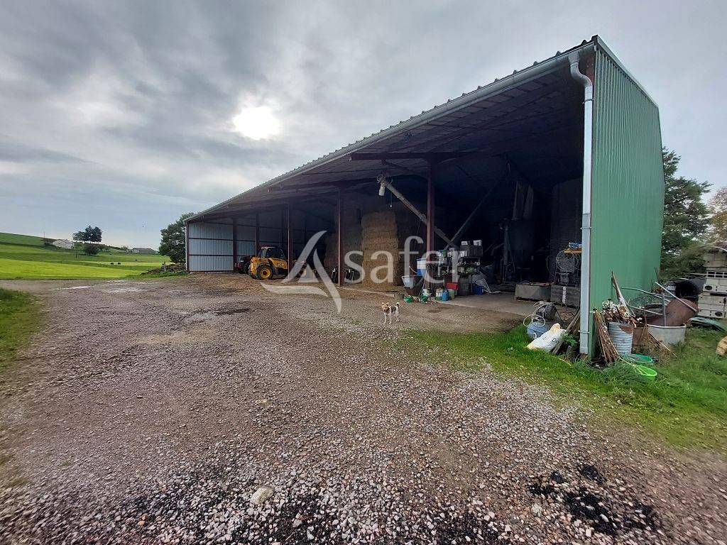 Sheep farm  Corrèze